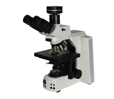 TL53科研级微生物荧光显微镜