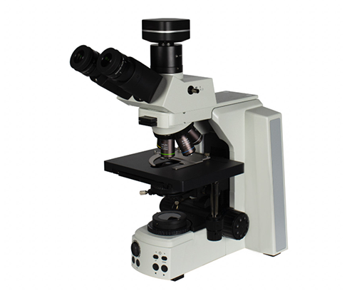 TL53科研级微生物荧光显微镜